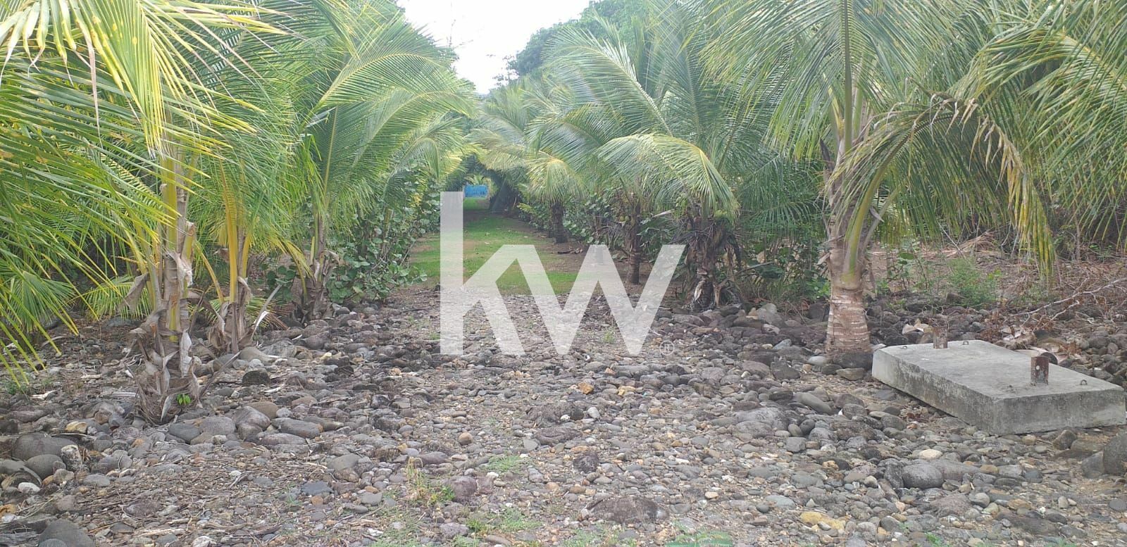 Maison Pointe noire 6piece(s) 1 490 000€ Keller Williams France