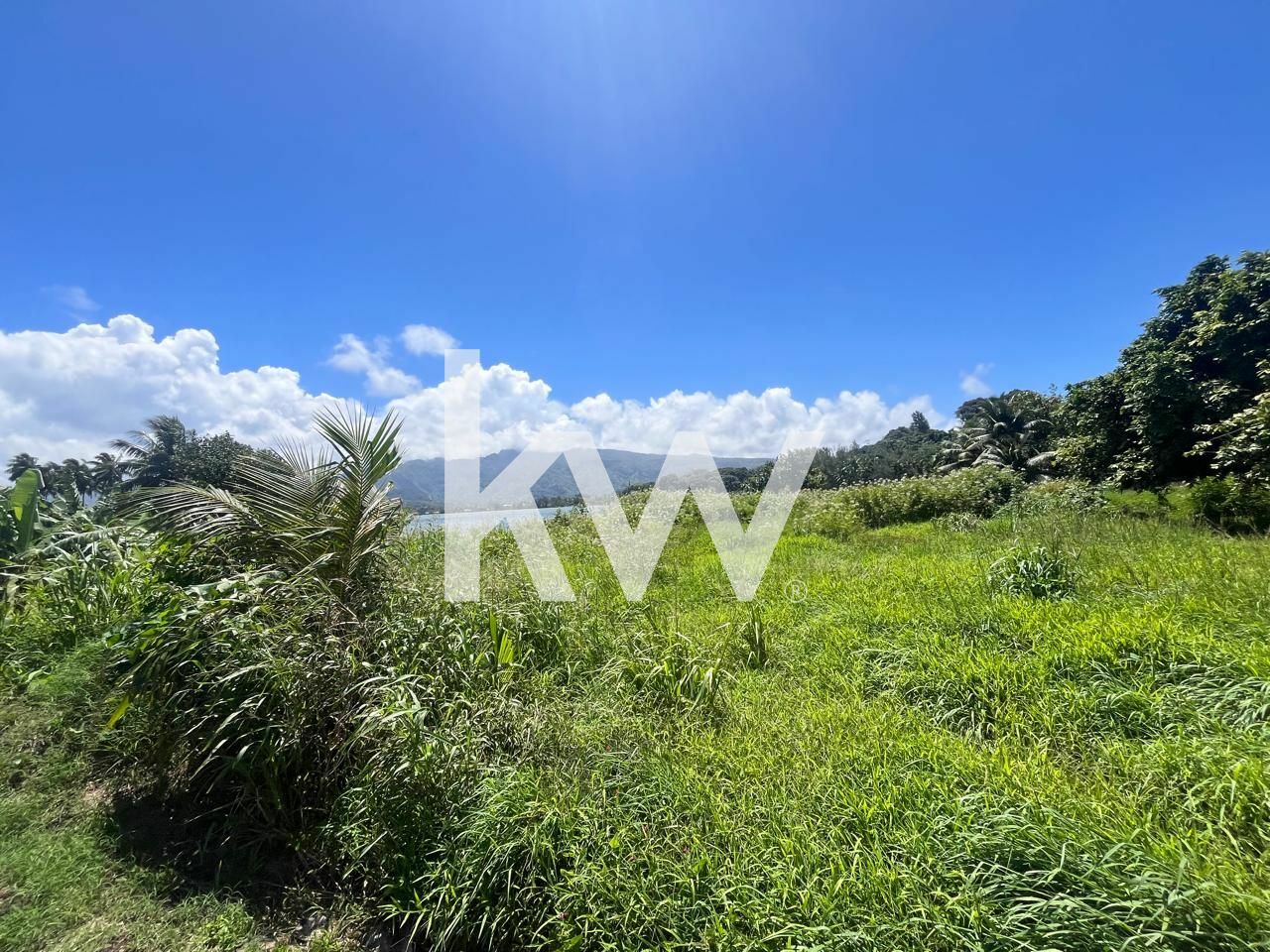 VENTE : TAHITI, terrain de 3 805 m² BORD DE MER à TAIARAPU OUEST