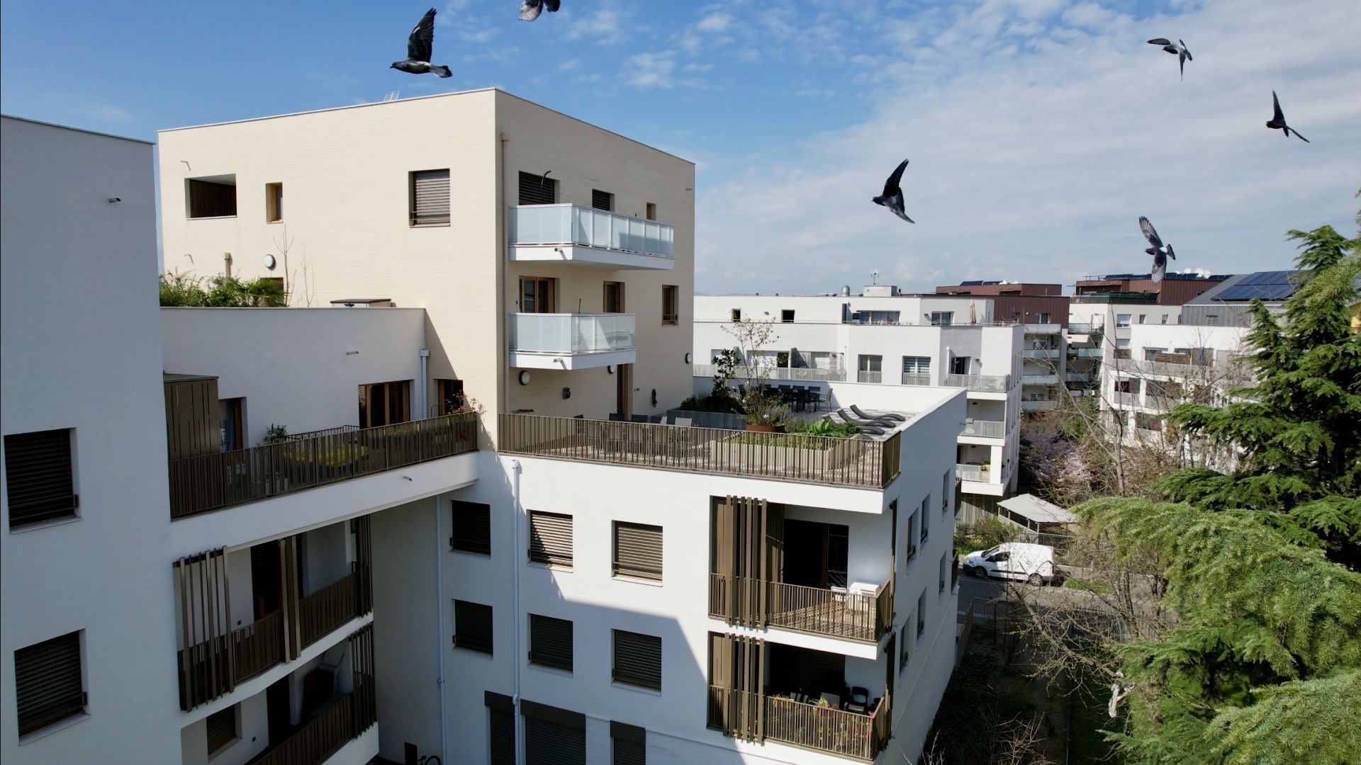 apartment image